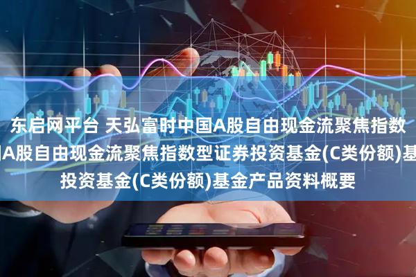 东启网平台 天弘富时中国A股自由现金流聚焦指数C: 天弘富时中国A股自由现金流聚焦指数型证券投资基金(C类份额)基金产品资料概要