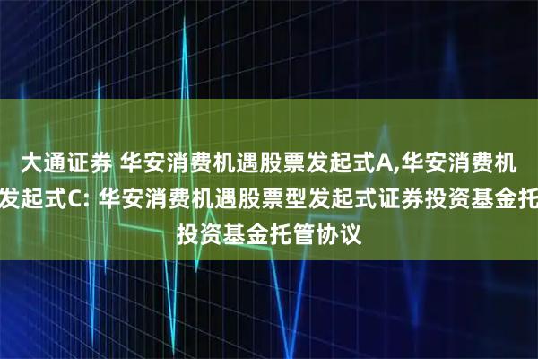 大通证券 华安消费机遇股票发起式A,华安消费机遇股票发起式C: 华安消费机遇股票型发起式证券投资基金托管协议